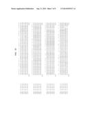 POLYNUCLEOTIDES AND POLYPEPTIDES INVOLVED IN POST-TRANSCRIPTIONAL GENE     SILENCING diagram and image