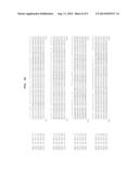 POLYNUCLEOTIDES AND POLYPEPTIDES INVOLVED IN POST-TRANSCRIPTIONAL GENE     SILENCING diagram and image