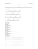 POLYNUCLEOTIDES AND POLYPEPTIDES INVOLVED IN POST-TRANSCRIPTIONAL GENE     SILENCING diagram and image