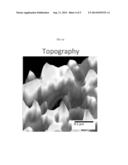 SIMULTANEOUS TOPOGRAPHIC AND ELEMENTAL CHEMICAL AND MAGNETIC CONTRAST IN     SCANNING TUNNELING MICROSCOPY diagram and image