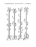 POWER OPERATED ROTARY KNIFE diagram and image