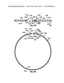 POWER OPERATED ROTARY KNIFE diagram and image