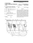 EXPANDABLE HANGING GARDEN WITH AUTOMATIC WATERING AND FERTILIZING DEVICE diagram and image