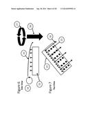 LED LIGHT TIMING IN A HIGH GROWTH, HIGH DENSITY, CLOSED ENVIRONMENT SYSTEM diagram and image