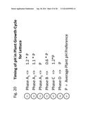 LED LIGHT TIMING IN A HIGH GROWTH, HIGH DENSITY, CLOSED ENVIRONMENT SYSTEM diagram and image