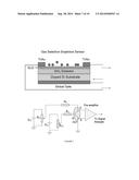 GRAPHENE-BASED GAS AND BIO SENSOR WITH HIGH SENSITIVITY AND SELECTIVITY diagram and image