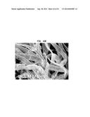 Tissue Products Incorporating Nanoporous Cellulose Fiber diagram and image