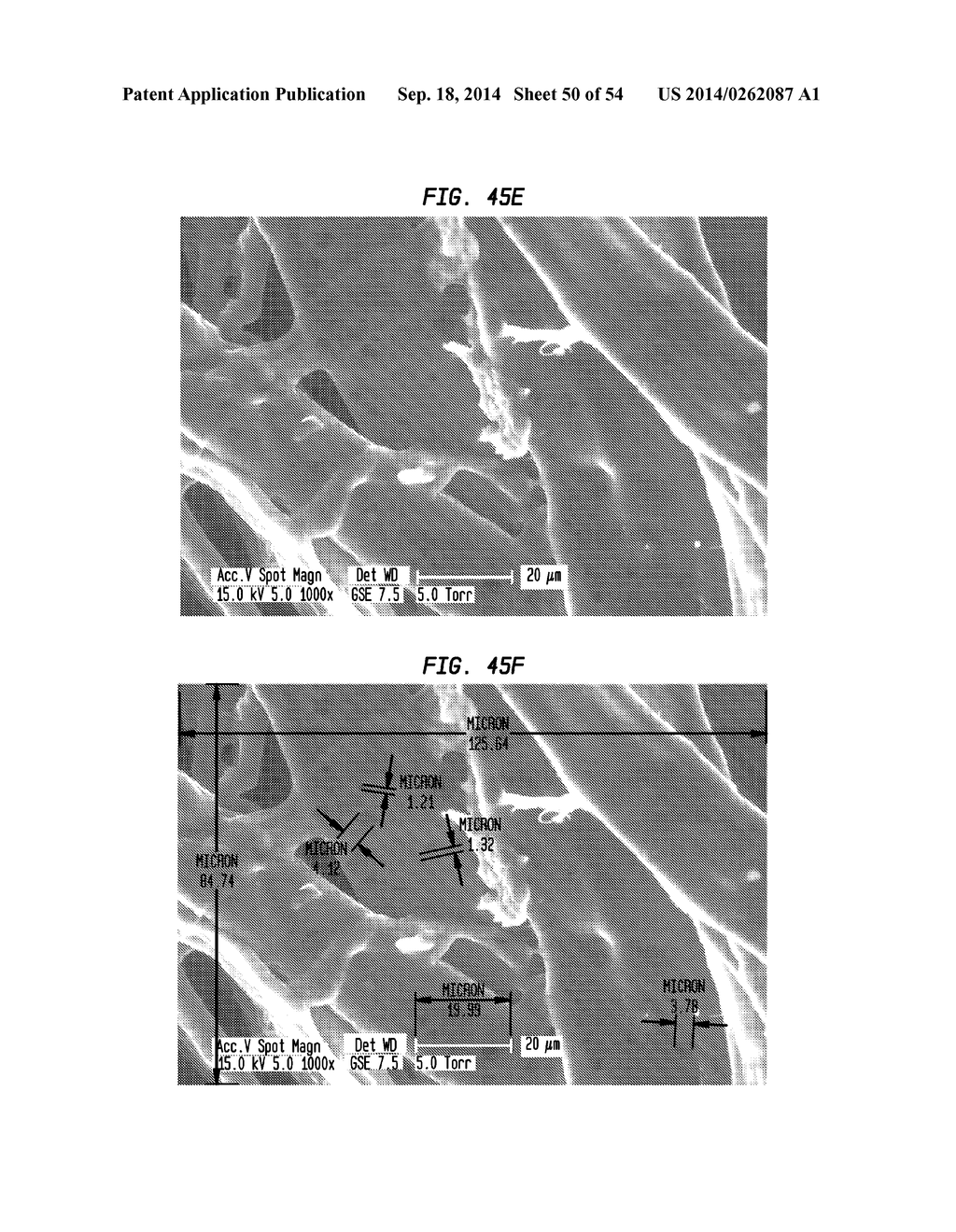 Tissue Products Incorporating Nanoporous Cellulose Fiber - diagram, schematic, and image 51