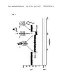 COUPLING METHOD diagram and image