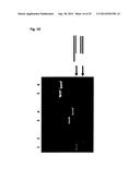 COUPLING METHOD diagram and image