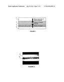 DETERMINING BIOFILM THICKNESS IN A MEMBRANE SUPPORTED BIOFILM REACTOR diagram and image