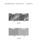 YTTRIA-BASED MATERIAL COATED CHEMICAL VAPOR DEPOSITION CHAMBER HEATER diagram and image