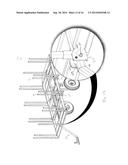 EXPANDABLE TRAILER diagram and image