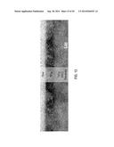 CONTROLLING THE CONDUCTIVITY OF AN OXIDE BY APPLYING VOLTAGE PULSES TO AN     IONIC LIQUID diagram and image