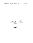 CONCURRENT MULTI-SYSTEM SATELLITE NAVIGATION RECEIVER WITH REAL SIGNALING     OUTPUT diagram and image