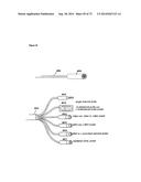 WEARABLE GESTURE BASED CONTROL DEVICE diagram and image