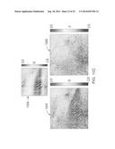 METHOD AND APPARATUS FOR DIGITAL ELEVATION MODEL SYSTEMATIC ERROR     CORRECTION AND FUSION diagram and image