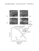 AUTOMATED GEOSPATIAL IMAGE MOSAIC GENERATION WITH AUTOMATIC CUTLINE     GENERATION diagram and image