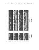 CASCADED CAMERA MOTION ESTIMATION, ROLLING SHUTTER DETECTION, AND CAMERA     SHAKE DETECTION FOR VIDEO STABILIZATION diagram and image