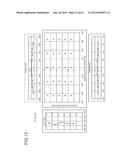 PROJECTION OPTICAL SYSTEM AND PROJECTOR APPARATUS diagram and image