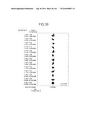 PROJECTION OPTICAL SYSTEM AND PROJECTOR APPARATUS diagram and image