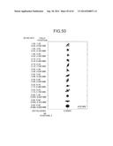 PROJECTION OPTICAL SYSTEM AND PROJECTOR APPARATUS diagram and image