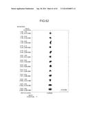 PROJECTION OPTICAL SYSTEM AND PROJECTOR APPARATUS diagram and image