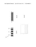 Lithography and Mask for Resolution Enhancement diagram and image