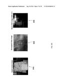 SYSTEM AND METHOD FOR SAFER DETECTION OF UNKNOWN MATERIALS USING DUAL     POLARIZED HYPERSPECTRAL IMAGING AND RAMAN SPECTROSCOPY diagram and image