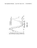 APPARATUS AND METHODS FOR OPTICAL COHERENCE TOMOGRAPHY AND TWO-PHOTON     LUMINESCENCE IMAGING diagram and image