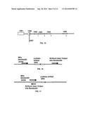 DISTRIBUTED FEEDBACK (DFB) BRILLOUIN FIBER LASERS diagram and image