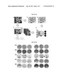 STAIN-FREE HISTOPATHOLOGY BY CHEMICAL IMAGING diagram and image