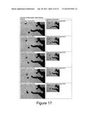 SELECTIVE PERCEPTUAL MASKING VIA SCALE SEPARATION IN THE SPATIAL AND     TEMPORAL DOMAINS USING INTRINSIC IMAGES FOR USE IN DATA COMPRESSION diagram and image