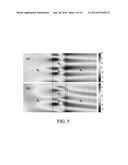 Rayleigh Reflectors And Applications Thereof diagram and image