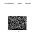 OPTICAL ELEMENT FOR MIE SCATTERING LIGHT FROM AN OPTICAL FIBER diagram and image