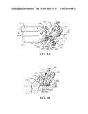 SHUTTER APPARATUS AND IMAGE PICKUP APPARATUS diagram and image