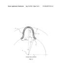 Gear Wheel with Profile Capable of Meshing with Semi-Encapsulation in a     Geared Hydraulic Apparatus diagram and image