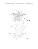 FLUIDICS SYSTEM FOR SEQUENTIAL DELIVERY OF REAGENTS diagram and image