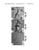 CELLULOSE NANOPARTICLE BIODEGRADABLE PHOTOACOUSTIC CONTRAST AGENTS diagram and image