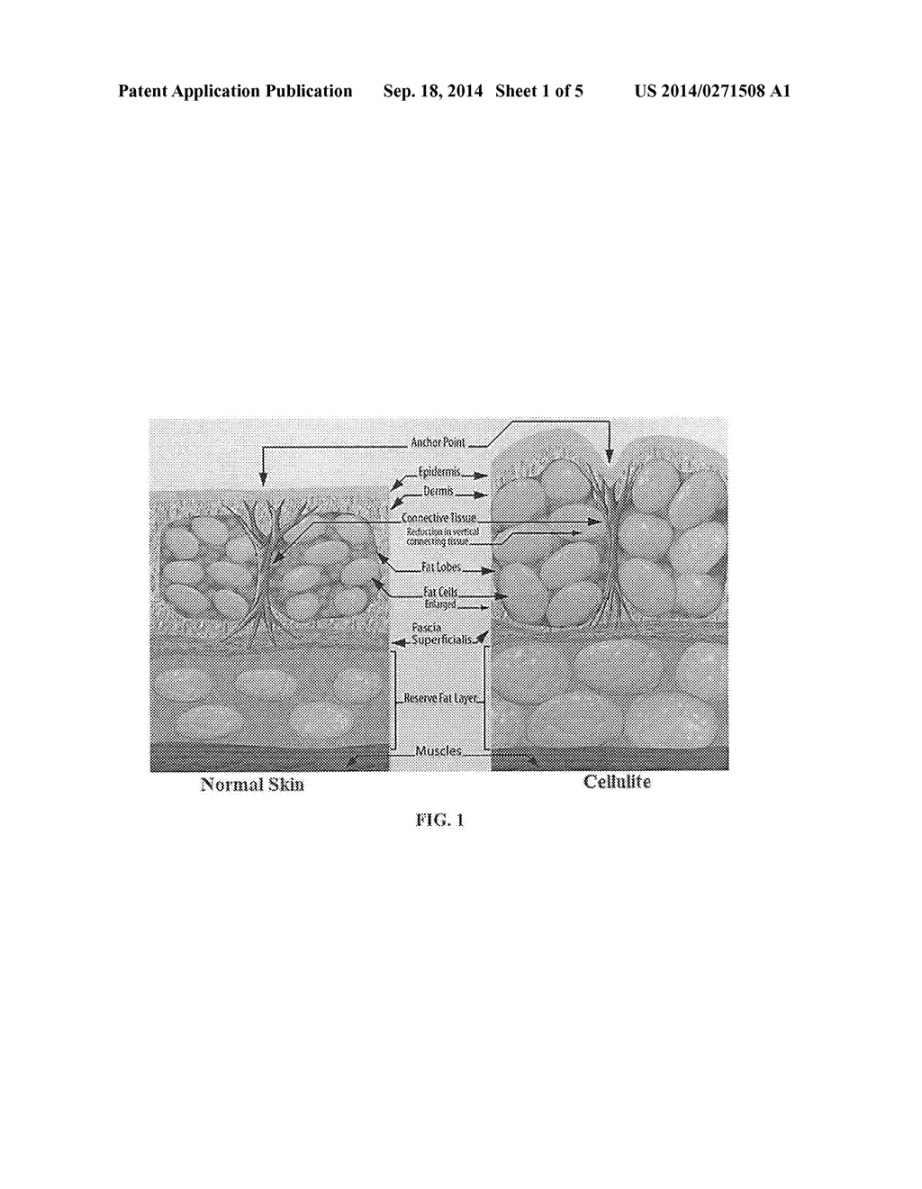 COSMETIC COMPOSITIONS AND USES THEREOF - diagram, schematic, and image 02