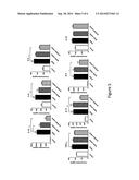 EFFECT OF AN ATTENUATED BORDETELLA STRAIN AGAINST ALLERGIC DISEASE diagram and image