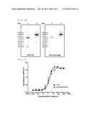 BLOOD COAGULATION FACTOR VII AND VIIA DERIVATIVES, CONJUGATES AND     COMPLEXES COMPRISING THE SAME, AND USE THEREOF diagram and image