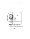 TREATMENT OF CANCER USING HUMANIZED ANTI-CD19 CHIMERIC ANTIGEN RECEPTOR diagram and image