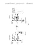 INCREASING PARKIN ACTIVITY BY ADMINISTERING A DEUBIQUITINATING ENZYME     INHIBITOR diagram and image