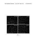 INCREASING PARKIN ACTIVITY BY ADMINISTERING A DEUBIQUITINATING ENZYME     INHIBITOR diagram and image