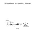 INCREASING PARKIN ACTIVITY BY ADMINISTERING A DEUBIQUITINATING ENZYME     INHIBITOR diagram and image