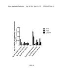 INCREASING PARKIN ACTIVITY BY ADMINISTERING A DEUBIQUITINATING ENZYME     INHIBITOR diagram and image