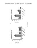 INCREASING PARKIN ACTIVITY BY ADMINISTERING A DEUBIQUITINATING ENZYME     INHIBITOR diagram and image