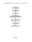 METHODS TO PRODUCE A HUMAN PLASMA-DERIVED IGG PREPARATION ENRICHED IN     BRAIN DISEASE-RELATED NATURAL IGGS diagram and image