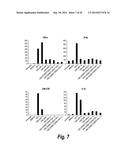 FC CONTAINING POLYPEPTIDES WITH ALTERED GLYCOSYLATION AND REDUCED EFFECTOR     FUNCTION diagram and image